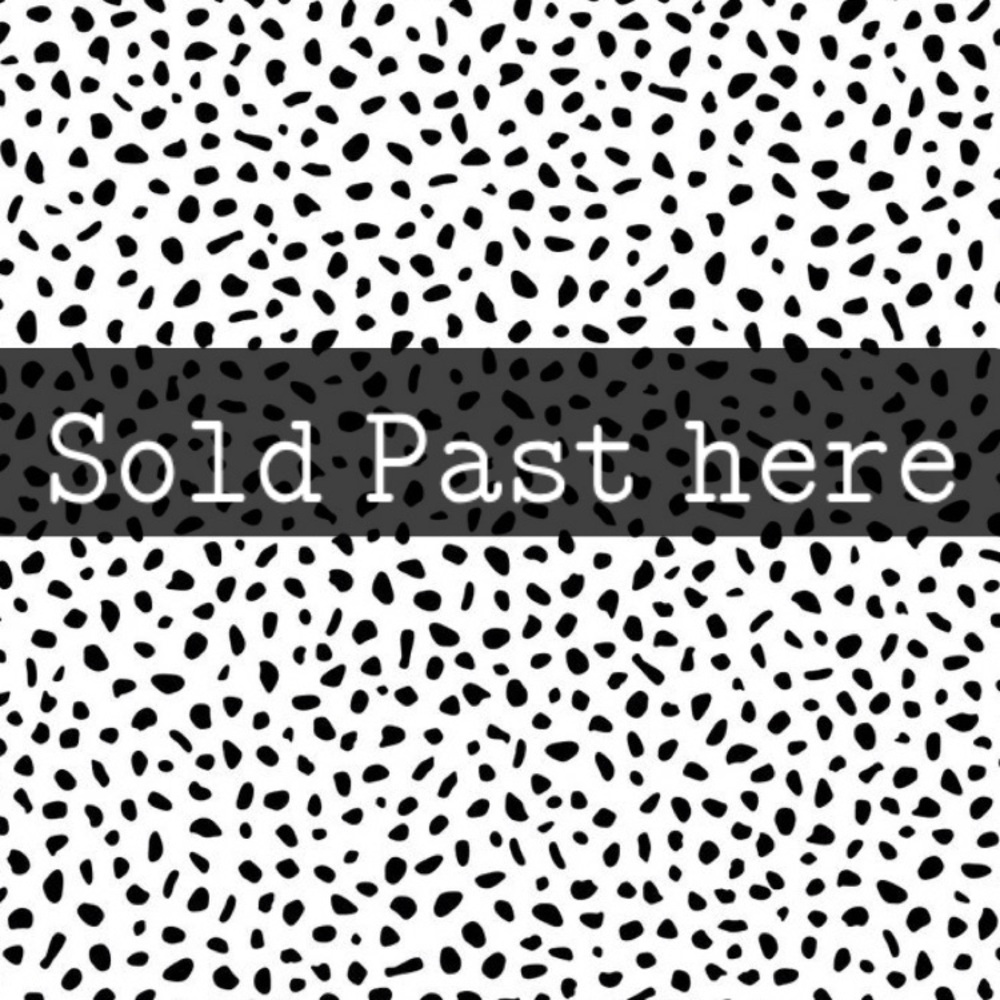 EVERYTHING SOLD PAST HERE